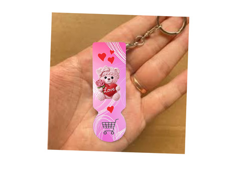 Einkaufswagenlöser