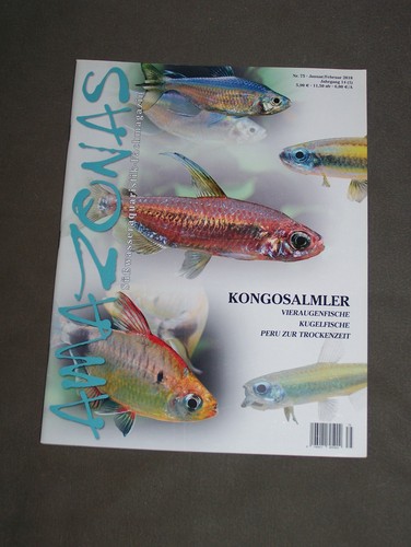 Amazonas magazin - nr,
