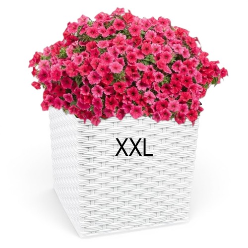 Pflanztopf xxl groß - pflanztopf, eckig