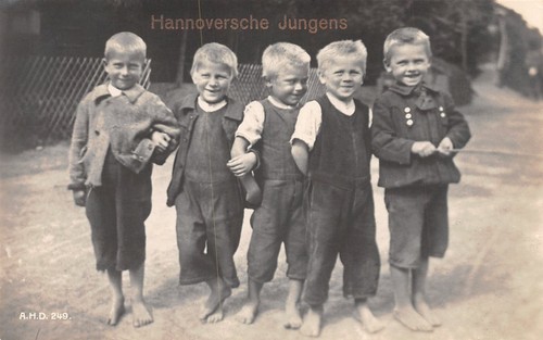 403185 hannoversche - 403185),