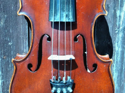Viola bratsche bez - viola, de