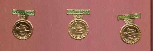Ddr kampfsportabzeichen mfs - ddr,