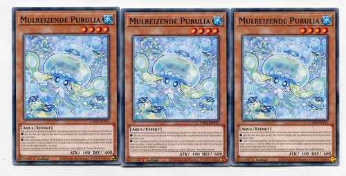 Mulreizende purulia - mulreizende,