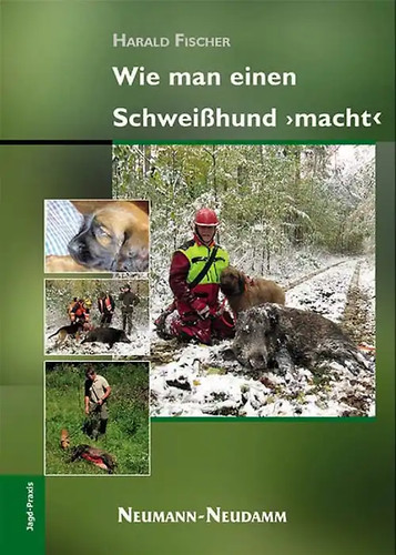 Wie man einen schweißhund - wie,