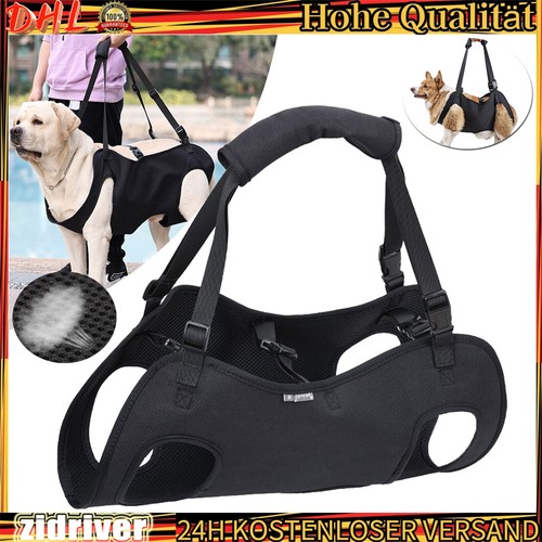 Hunde tragehilfe gehhilfe - hunde,