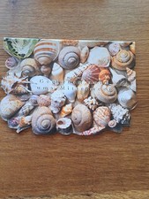 Thermomix Finessen verschiede Ausgaben