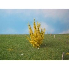 Büsche Ginster Profiline ca