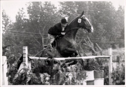 Foto springreiten sprung - foto, springreiten,