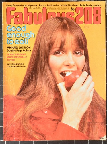 Fabulous 208 magazine