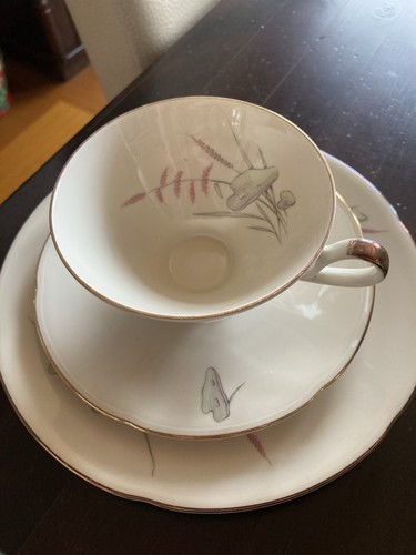 Sammeltasse tlg weiß mit - sammeltasse,