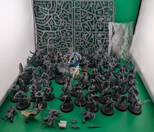 RIESIG! Warhammer Age of