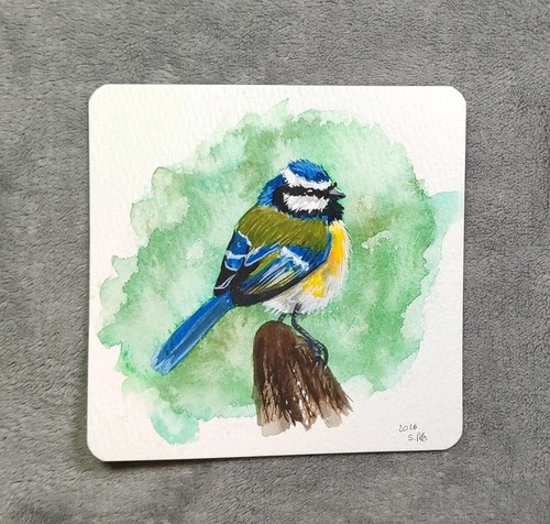 Dekorative blaumeise - dekorative,