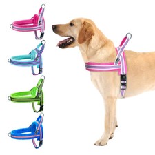 Reflektierende Hundegeschirr