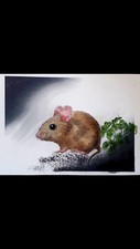 Originalzeichnung    Maus im Klee
