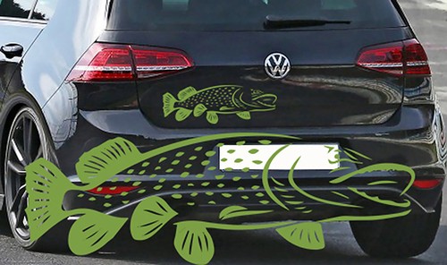 Angeln hecht fisch - hecht,