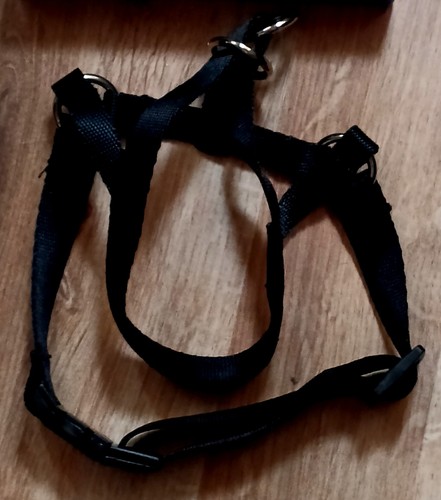 Hunde kopfgeschirr größe - kopfgeschirr,
