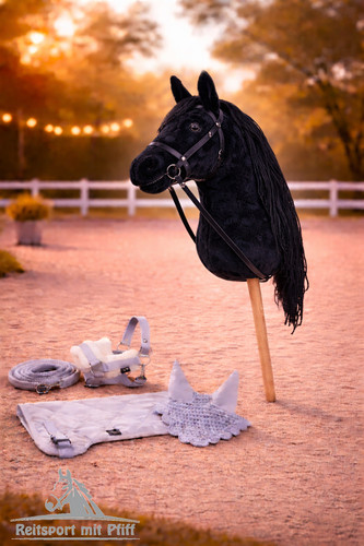 Hobby horse - hobby,