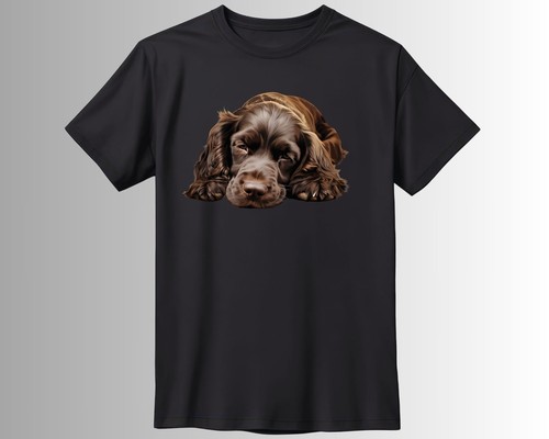 Süßer schlafender hund - süßer,