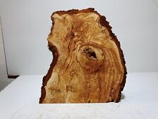 Groß,Baumscheibe,Holzscheibe