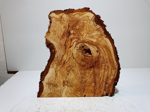 Groß,Baumscheibe,Holzscheibe