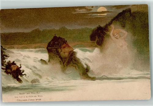13465271 nacht am rheinfall - -,