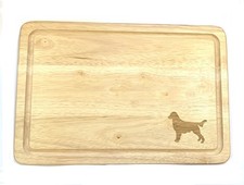 Flachmantel Retriever Hund