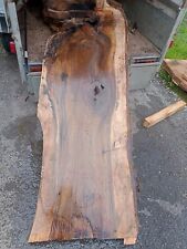 1x XL Nussbaum Bohle