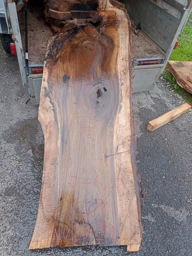 Nussbaum bohle - 1x, xl