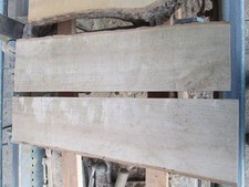 6 St. Eschenholz 48 mm