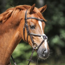 % Kavalkade Trense Diandro