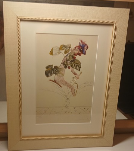 Salvador dali flordali - salvador,
