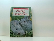 Zwergkaninchen Mettler