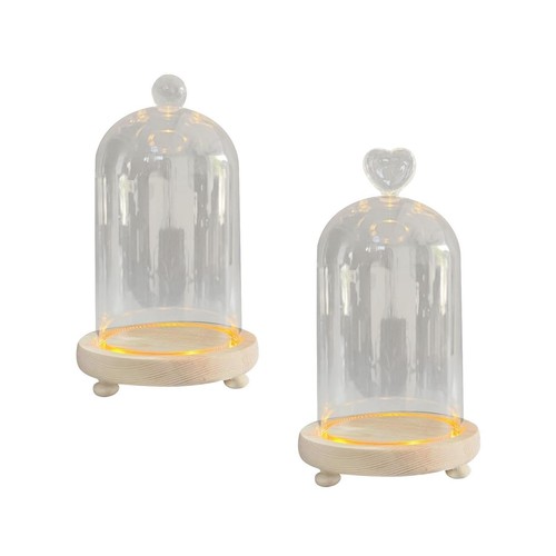 Cloche dome behälter aus - cloche, glas
