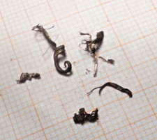 Silber, gediegen Locken vom Himmelsfürst bei Freiberg in Sachsen