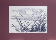 Serigraphie von Siegward