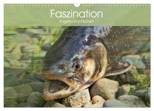 Faszination angeln und - faszination,
