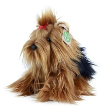 Yorkshire Terrier 21 cm
