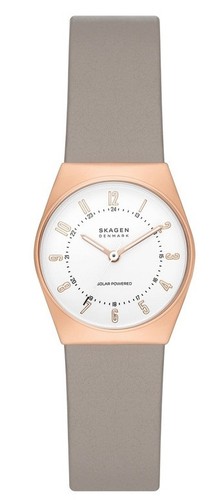 Skagen grenen lille solar - grenen,