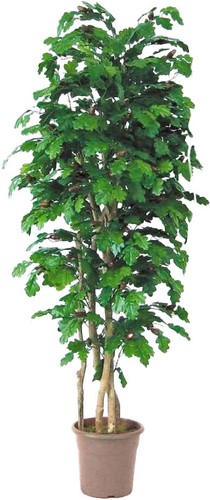 Artplants deko eiche - deko,