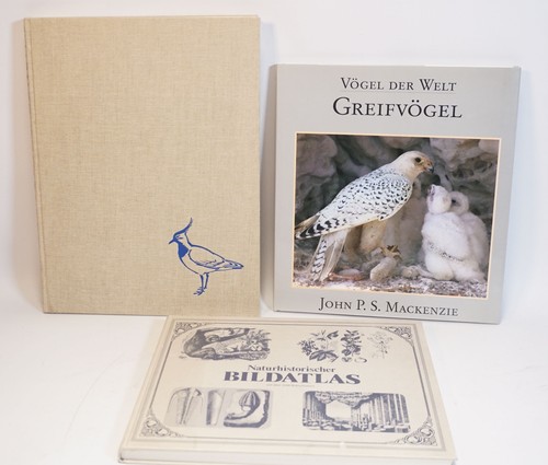 ältere bücher vögel - 3x,