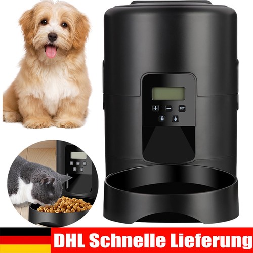 Katze hunde futterautomat - katze,