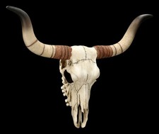 Veronese Wanddeko - Langhorn