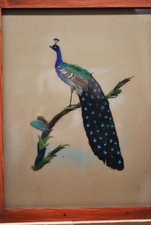 Antikes Wandbild, Federkunst