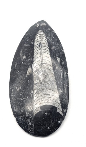 Sm0147 natürlicher - ,