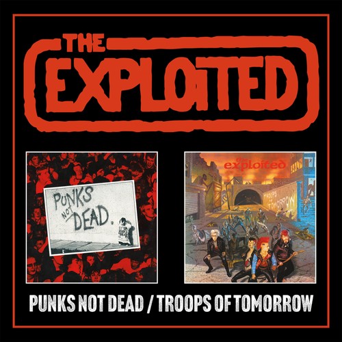 Punks not dead troops of - punks, /