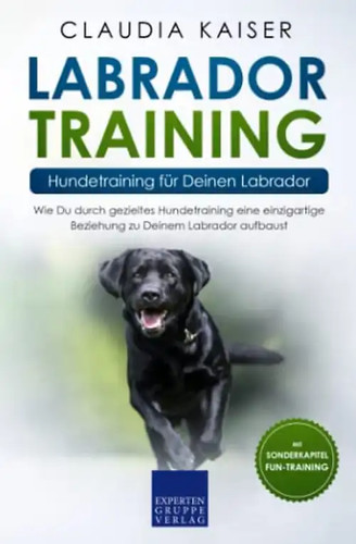 Labrador training - training, –