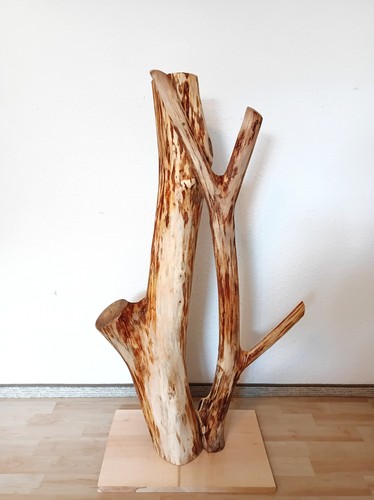 Katzenbaum kratzbaum baumstamm - katzenbaum,