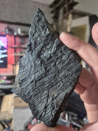 Fossilstufe turmalin schwarz - fossilstufe,