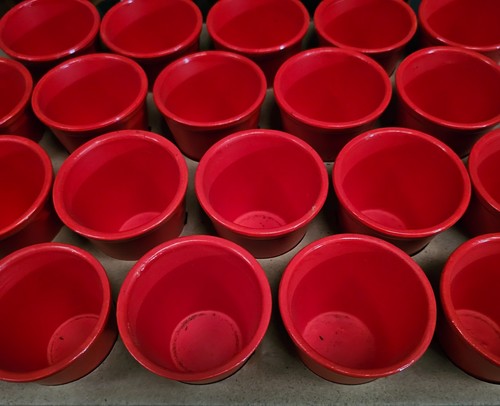 10x mini blumentopf pflanztopf - 10x,