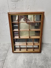 Alter Setzkasten/Vitrine aus